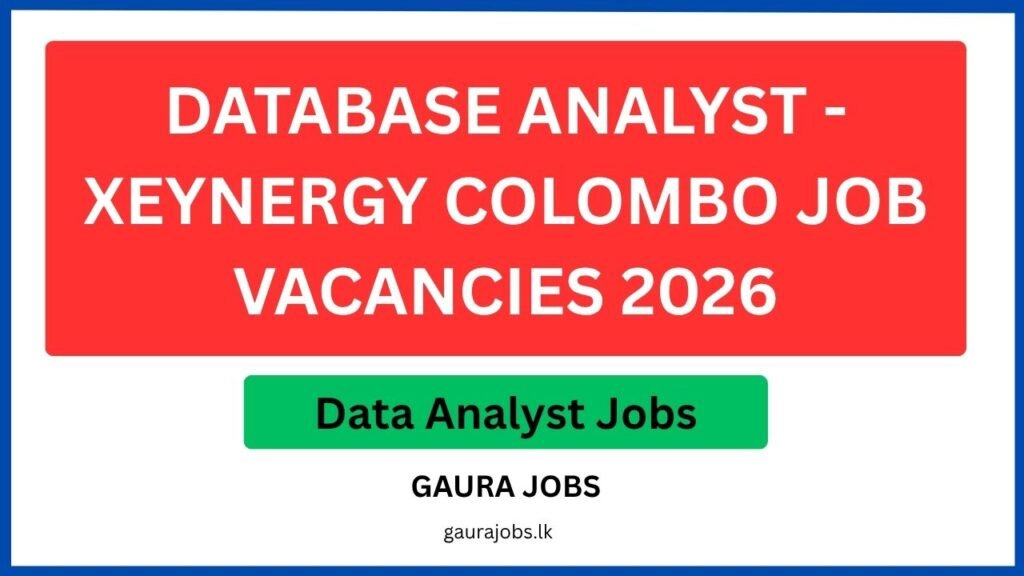 Database Analyst - Xeynergy Colombo Job Vacancies  2026